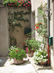 2010-08-03 062