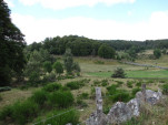 2010-08-06 013