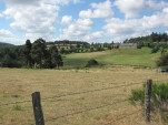 2010-08-06 021