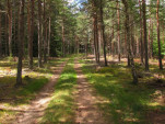 2010-08-05 043