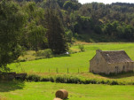 2010-08-06 029