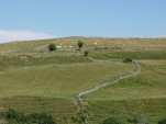 2010-08-01 021
