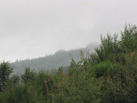 2010-08-02 018