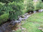 2010-08-02 073