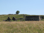 2010-08-01 015
