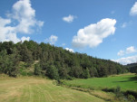 2010-08-06 041