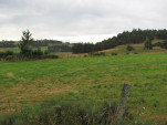 2010-08-01 097