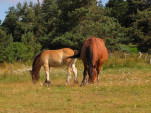2010-08-06 018