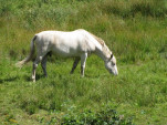 2010-08-06 101