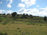 2010-08-06 023