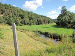 2010-08-06 039