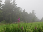 2010-08-02 025