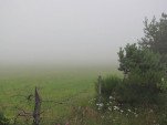 2010-08-02 024