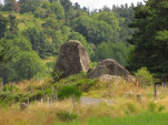 2010-08-06 050