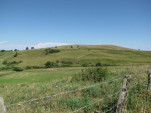 2010-08-01 020
