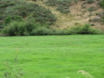 2010-08-04 103