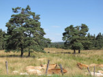 2010-08-01 024