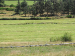 2010-08-04 025