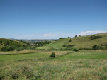 2010-08-01 018