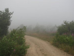 2010-08-02 022