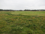 2010-08-01 081