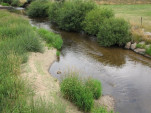2010-08-04 109