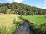 2010-08-06 034