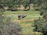 2010-08-04 028