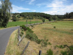 2010-08-04 023
