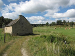 2010-08-06 044