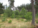 2010-08-05 021