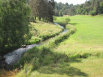 2010-08-06 033