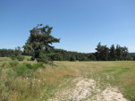 2010-08-01 033