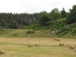 2010-08-03 009