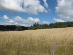 2010-08-06 016
