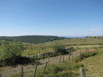 2010-08-01 014