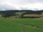 2010-08-02 139