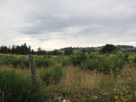 2010-08-01 094