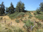 2010-08-04 022