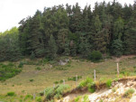 2010-08-06 015