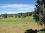 2010-08-04 027