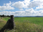 2010-08-06 052