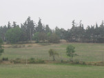 2009-08-21 0004
