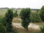 2009-08-21 0006