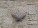 2009-08-17 0082