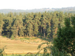 2009-08-18 0003