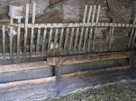 2010-08-05 003