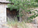 2009-08-17 0097