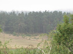 2009-08-21 0005