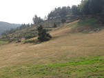 2009-08-21 0049